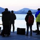 삼시세끼 이미지