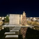 대동로 | 부산 사상 오르디카페｜대형트리 눈내리는 크리스마스카페 후기