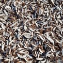 신석농장 이미지