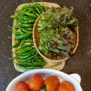 배나무실의 아침 이미지