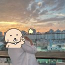 세븐일레븐 인천소래점 | [인천 호캉스] 파크마린 호텔 루프탑 수영장 소래포구 숙소 내돈내산 후기 가성비 호캉스