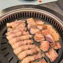 헬스달리아부산