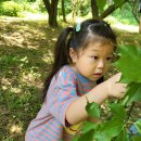 구항농장 이미지