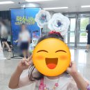 루루섬의 비밀 이미지