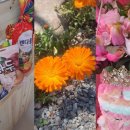 선화 에너지 이미지