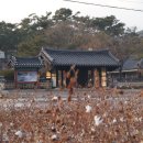 목면시배유지 이미지