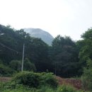 천주사 입구 Daum카페