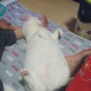 702013 이미지