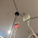 최고이비인후과의원 이미지