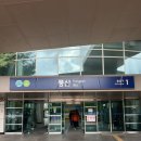 씨유 일산밤리단길점 | 물생활러가면 꼭 가봐야 하는 일산 체인지 그린 방문 후기