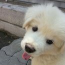 옥구지구대 이미지