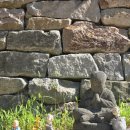 박해목장 이미지