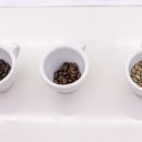 커피바리스타A 이미지