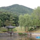 새춘천주유소 이미지