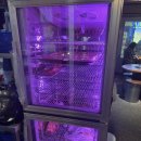 화로선생 | [화로선생] 건대입구 가성비 넘치는 화로구이 맛집 화로선생 후기