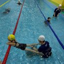 스위밍키즈 태평점 이미지