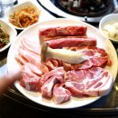 하누돈 실비 이미지