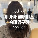 용산 미용실 이가자헤어비스 숙대입구역점 | 무코타클리닉으로 빗자루 탈출