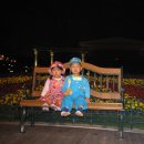 고향개장집 이미지