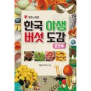 석순자
