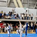 Team태권도장 이미지