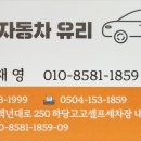 진도자동차유리