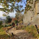 용해동주민센터 이미지