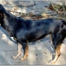 광탄한의원 이미지