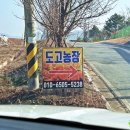 도고농장 이미지