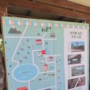 번덕 | 🌿 번덕뜰 가족체험 후기 : 아이랑 하루종일 놀고, 엄마도 힐링했던 곳