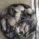 중부낚시터 이미지