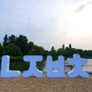 올여름 피서는한강에서...'한강페스티벌' 4일 개막 이미지