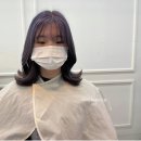 심스헤어 - 울주군 | 심스헤어