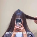 머리할때 됐다 - 수성구 | 머리할때 됐다