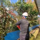 서산초등학교 이미지