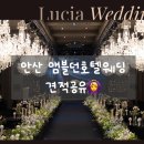 바이올렛 컨벤션웨딩홀 | 안산 엠블던호텔웨딩 27년 상반기 견적공유O 주차 뷔페 투어후기