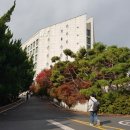 우송대학교 철도융합대학원 | 2025. 우송대학교, 우송대, 학과별 등록금순위, 취업률, 신입생 경쟁률 순위 현황 !!!