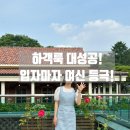 플라스틱아일랜드 - 천안시 서북구 공원로 196 | 플라스틱아일랜드 하객룩 트위드 원피스 솔직 후기