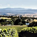 두라농장 이미지