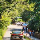 청계사천 냇가 이미지