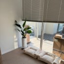 그루밍 애견미용 이미지