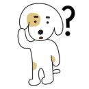 더엔에스 이미지