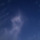 담양라라345 이미지