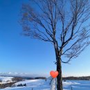 비에이 카카오 검색결과