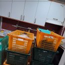 백두익스프레스