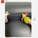 김근주안경 | 여름은맛없지만밥은맛있다