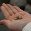 파로스펜션 이미지