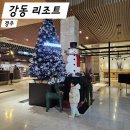 경주 강동리조트 구 블루원 패밀리콘도 추천 워터파크 2인 패키지 어메니티 룸컨디션