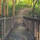 호랑산 둘레길 이미지