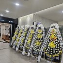 조치과의원 이미지